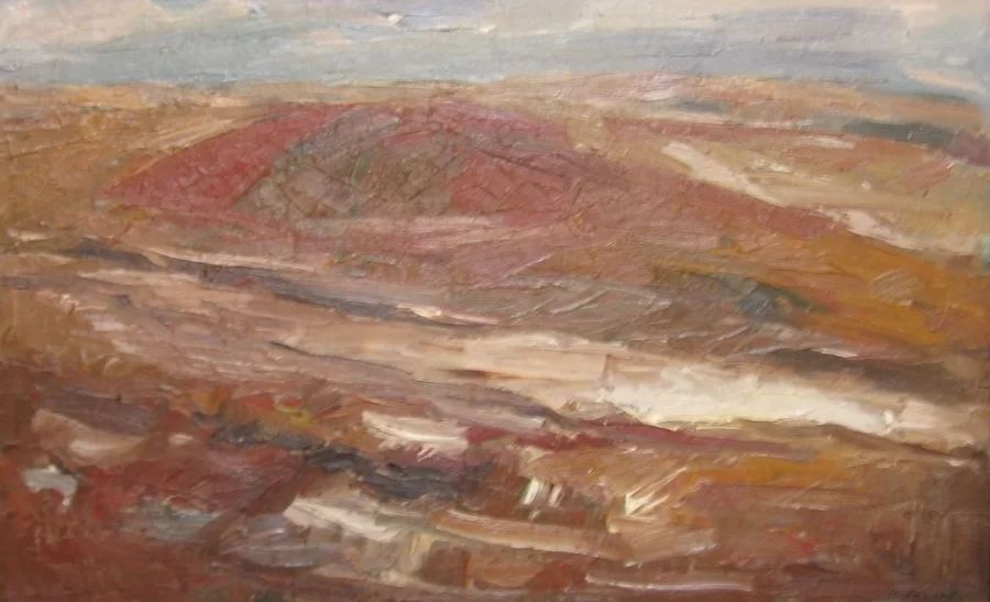 Únorové pole (R48) - Miroslav Roštínský