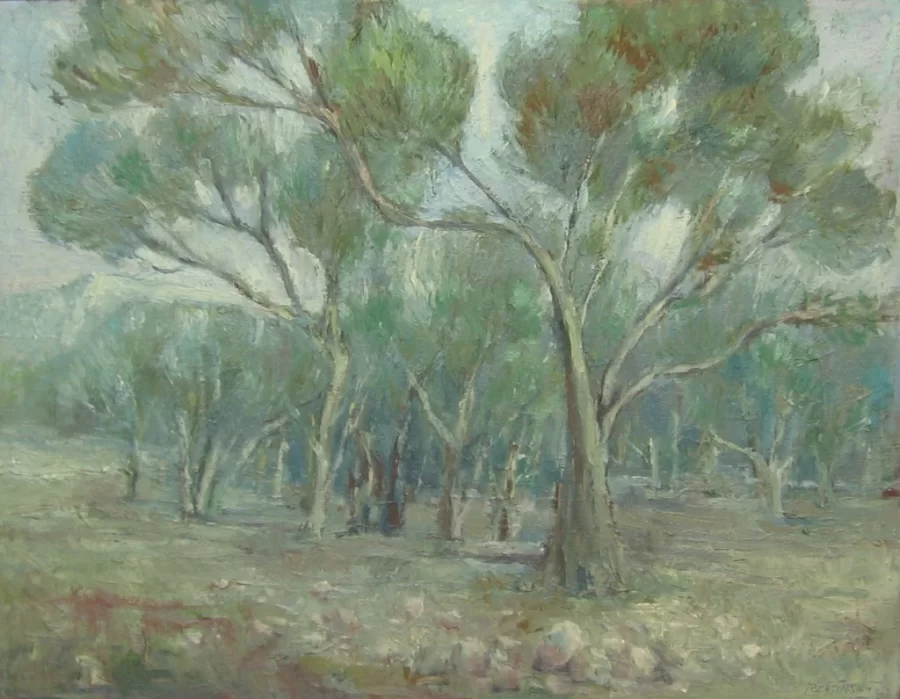 Olive Grove - Yugoslavia (R62) - Miroslav Roštínský
